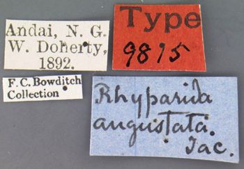 Media type: image; Entomology 9815   Aspect: labels